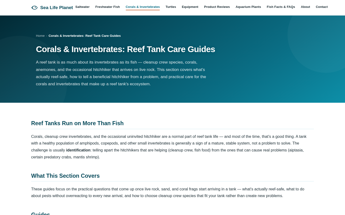 First-level category landing for corals and invertebrates: H1, intro, and section overview for reef tank care guides.